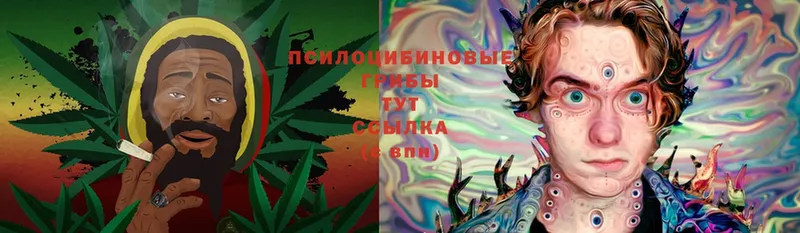 купить  цена  Лесосибирск  мега ССЫЛКА  Галлюциногенные грибы Cubensis 